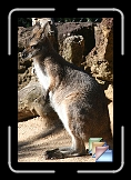 Australia * (61 Slides)