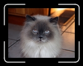 cleo7 * It is so wonderful to be me... * 768 x 575 * (255KB)