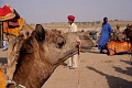 Jaisalmer