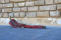 IMG_3892