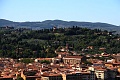 IMG_3944