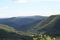 IMG_3981