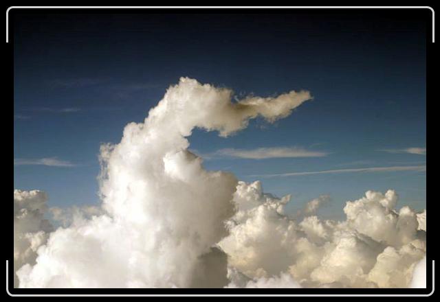 intheclouds1.jpg - A bird's eye view!