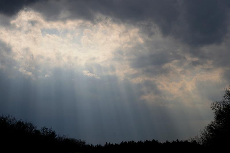 rays3.jpg - But he must have been thinking something, because I think that's what all those rays are.
