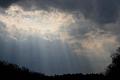 rays3