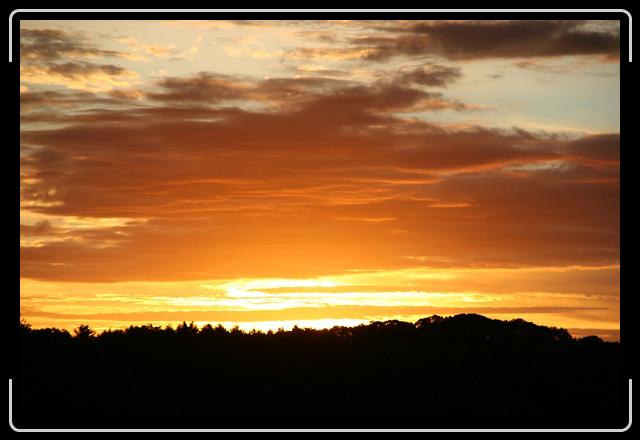 IMG_1386.jpg - Rising flame