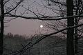 wintersun1