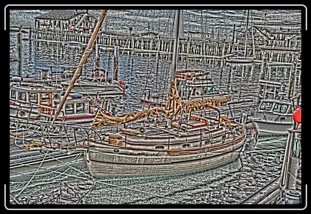 IMG_1255.jpg - This comes from the Wellfleet marina in cape cod.