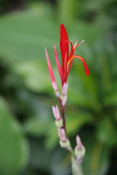IMG_1545.jpg - Simplicity...