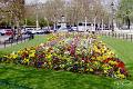 parisflowers