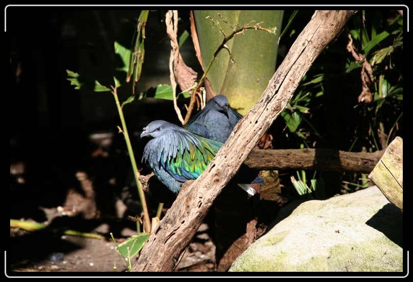 IMG_2163.jpg - Some times I felt as if I was being watched.