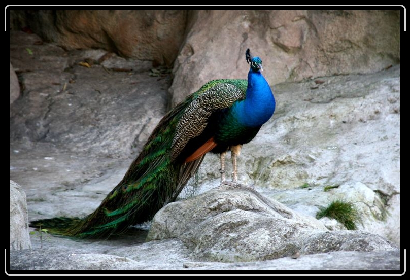 IMG_2220.jpg - Yes I AM beautiful.