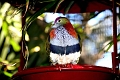 IMG_2164