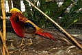 IMG_2173