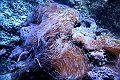 IMG_2879