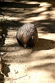 IMG_2067