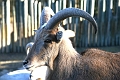 IMG_2277