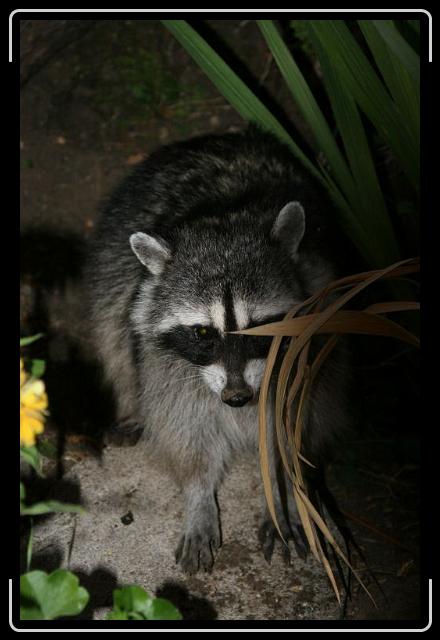 Next slide