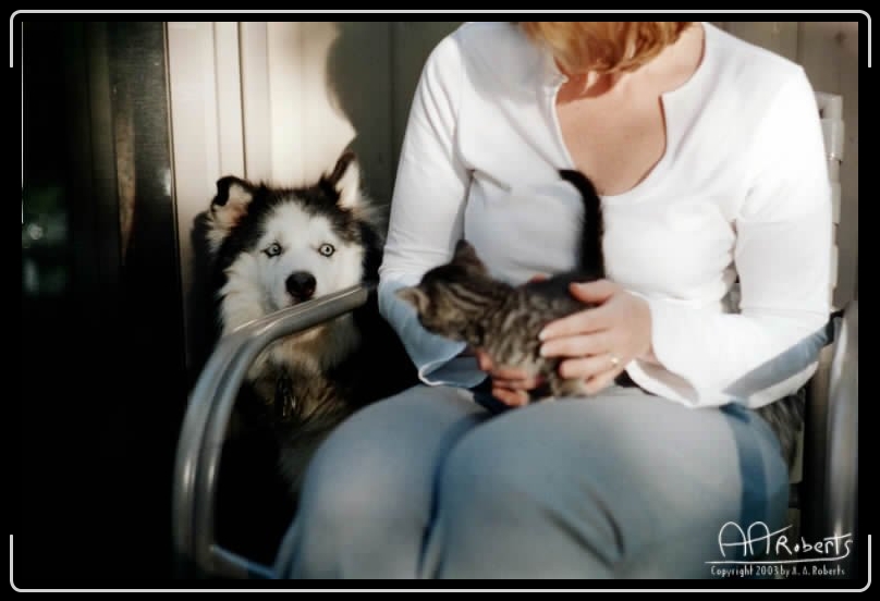 Next slide