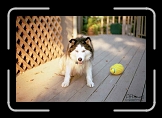 freeja2 * You looking at my ball punk? I hope you're not thinking of taking my ball, cause I don't want to hurt you! * 768 x 512 * (54KB)