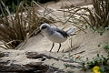 IMG_0945