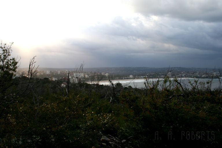 IMG_3273.jpg - Overlooking Manly beach.