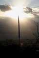 IMG_3281
