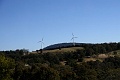 IMG_2435