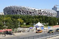 birdsnest2