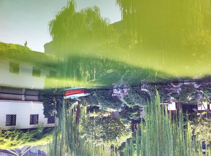 sh58.jpg - So what is reality and which is the reflection?