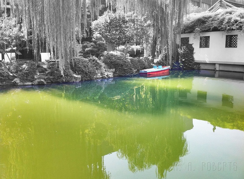 sh60.jpg - More fun with color.
