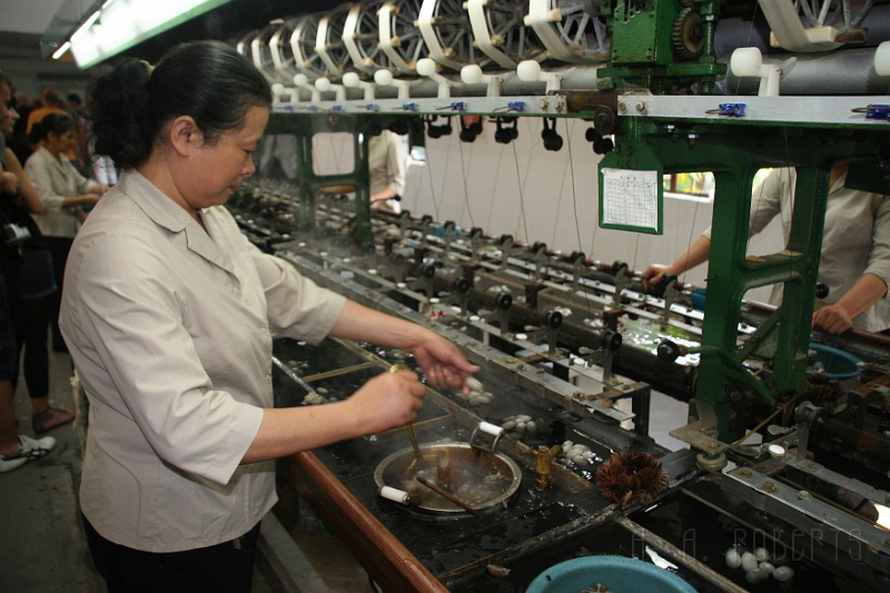 sh68.jpg - This is how they unwrap cacoons to make silk.