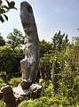 sh50