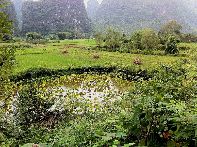 ys15.jpg - This field is on the way to the river ride too.