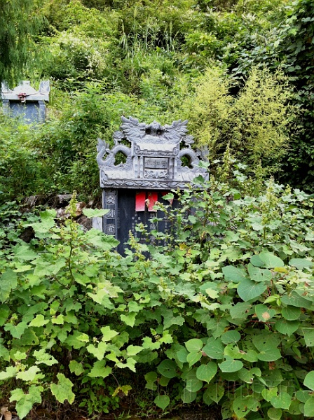 ys16.jpg - This was a grave in the side of the hill.