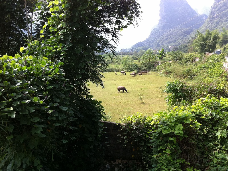 ys23.jpg - This is looking out from the balcony of our room... at the lawn mowers.
