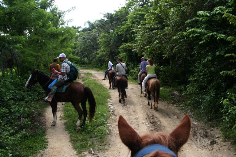 IMG_1492.jpg - We took a horseback ride into the interior  Chiquito, the guy in front was our guide.  Luntz and Thomas (left & right up front) were two German Gentlemen we made friends with.  The guy behind Chiquito is Jergan.  He got married the week before on the DR!  My wife is on the right and the guy closest to me on the left is one of the quides.