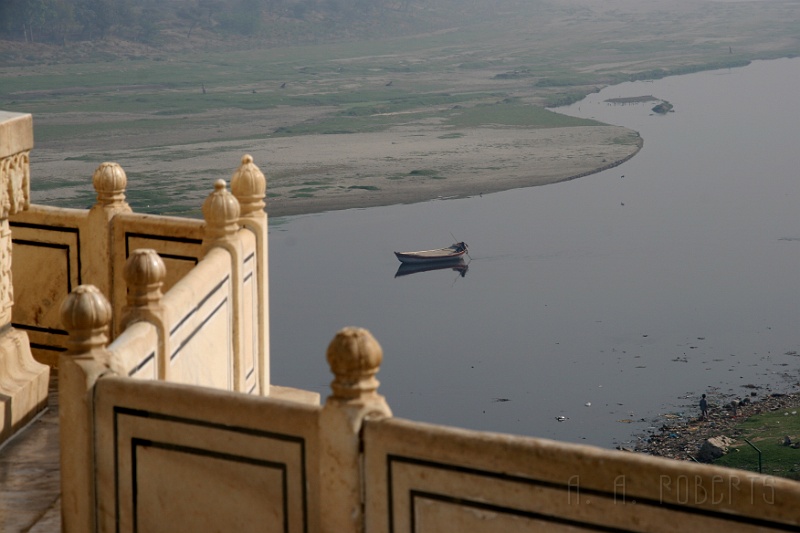 IMG_6003.JPG - This guy was taking a lazy cruise up river.