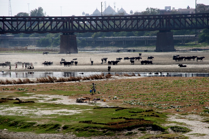 IMG_6028.JPG - This is looking at the Yamuna river from the other side.  As you can see it's down a bit, but that does not prevent all sorts of activy in, around, on and nearby.