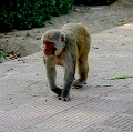 IMG_5953