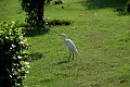 IMG_6040