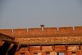 IMG_6074
