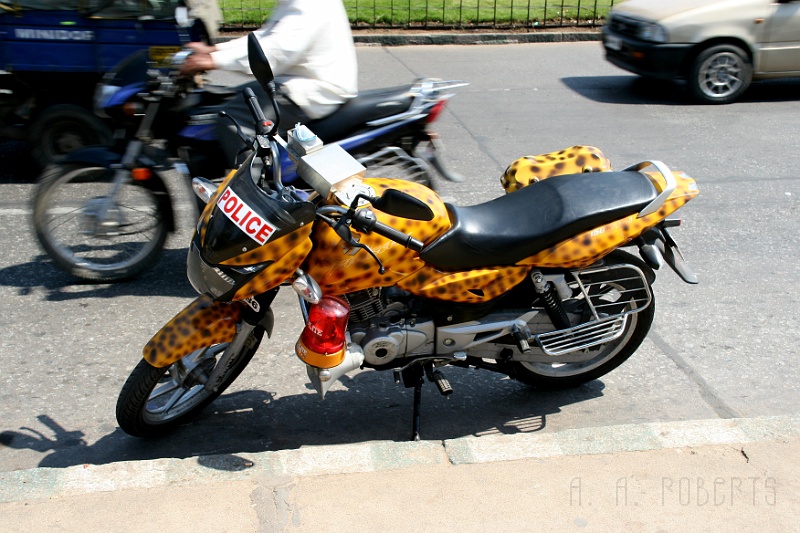 IMG_4790.JPG - This cop has like totally tricked out his ride.