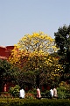 IMG_4785