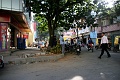IMG_4923