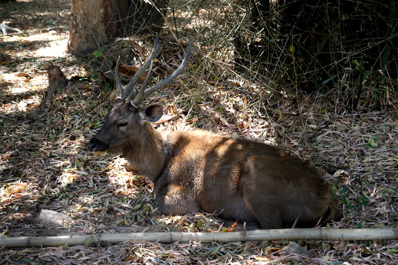 IMG_5481.JPG - I was impressed with how much acreage there was through out the park.