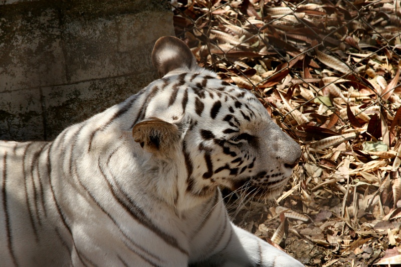 IMG_5516.JPG - and cool too.