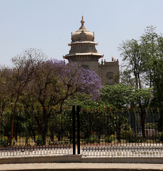 IMG_5571.JPG - And thus ends our Safari journey to Bannerghatta...