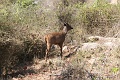 IMG_5478