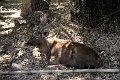 IMG_5481
